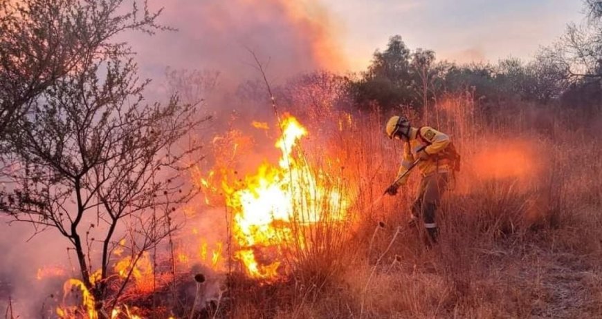 La Alcaldía de Tarija lanza campaña contra incendios forestales para preservar el medioambiente