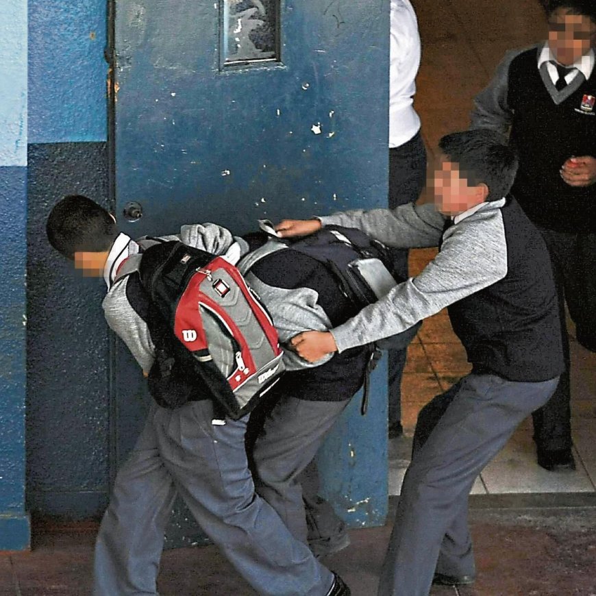 Ecam insta a directores de colegios a no encubrir casos de bullying