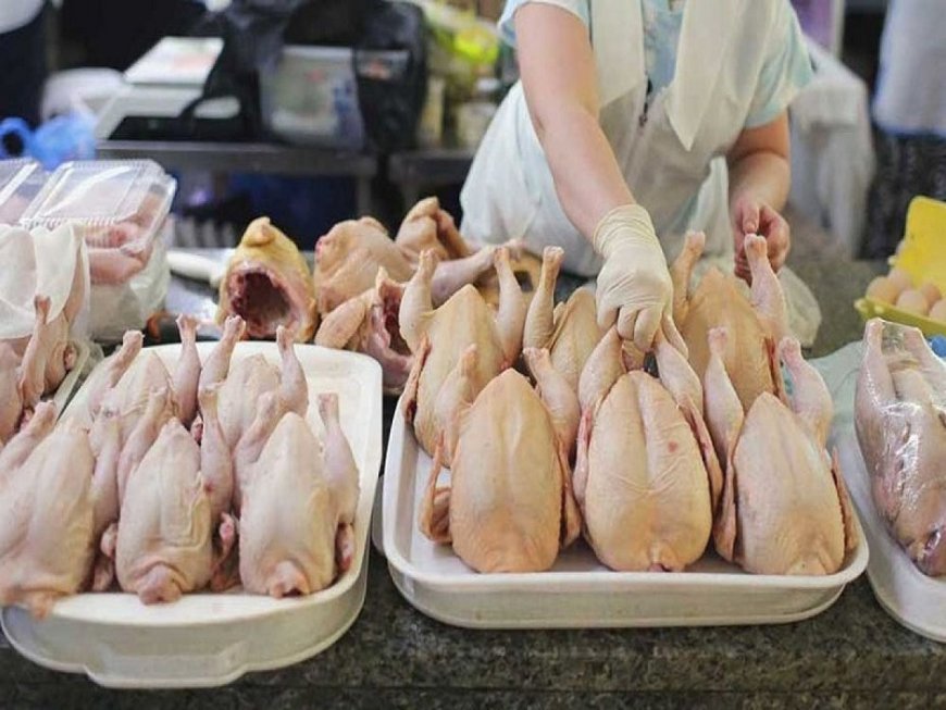 Incremento en el precio del pollo en Tarija: Verificación de la Intendencia Municipal