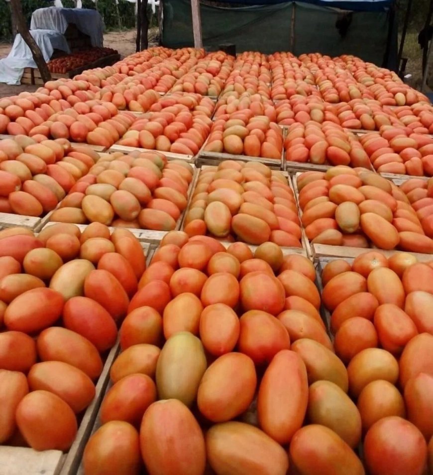 Población Tarijeña Cuestiona que el Dinero no Alcanza para Compras en el Mercado