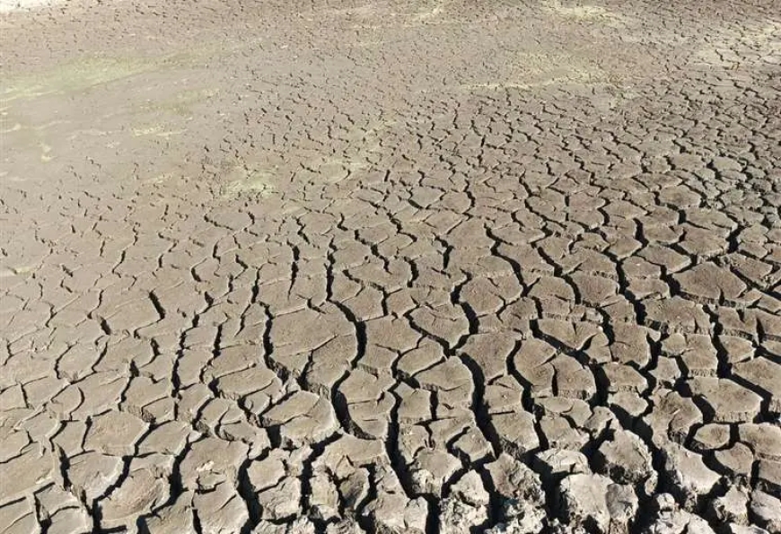 Emergencia por sequía en municipios de Velasco: San Ignacio, San Miguel y San Rafael