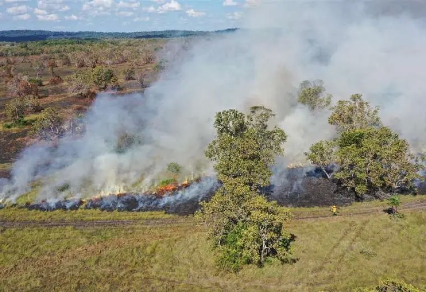 Aumento alarmante de incendios forestales en Santa Cruz: Más de 2.200 focos de calor activosq