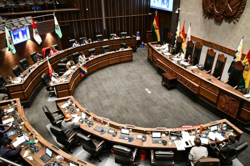 El Senado sanciona la adhesión de Bolivia al Mercosur