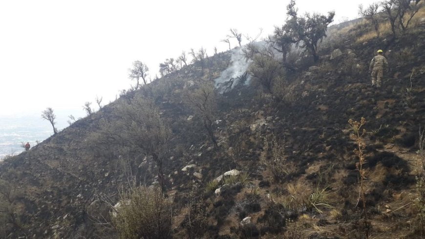 Bolivia Registra 1.251 Focos de Calor; Solo Dos en Cochabamba