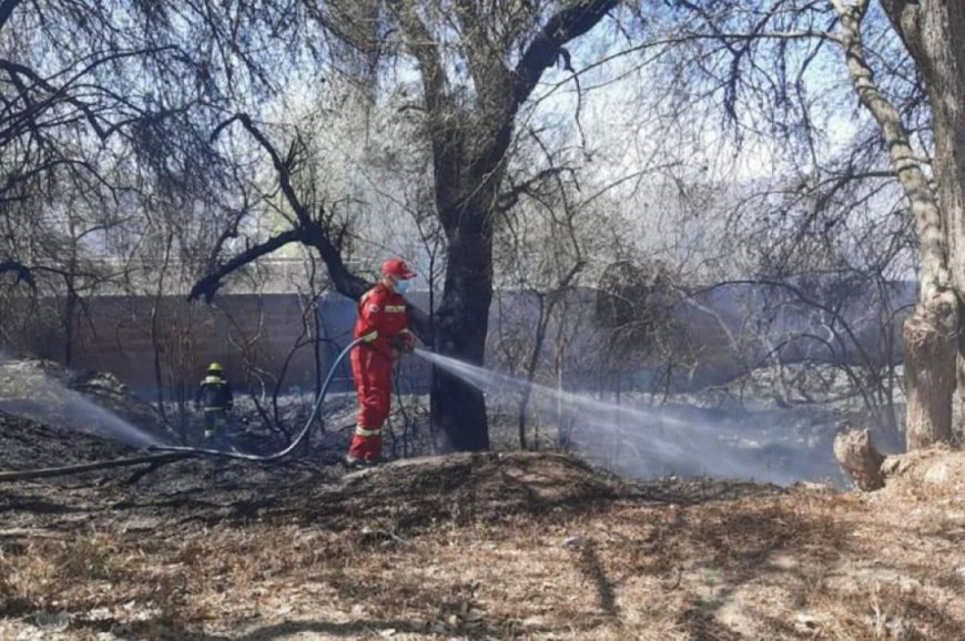 Municipio de Tarija inicia dos procesos legales por incendios en lotes baldíos