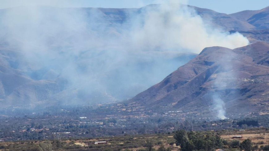 Reportan nuevo incendio forestal en la cordillera de Sama