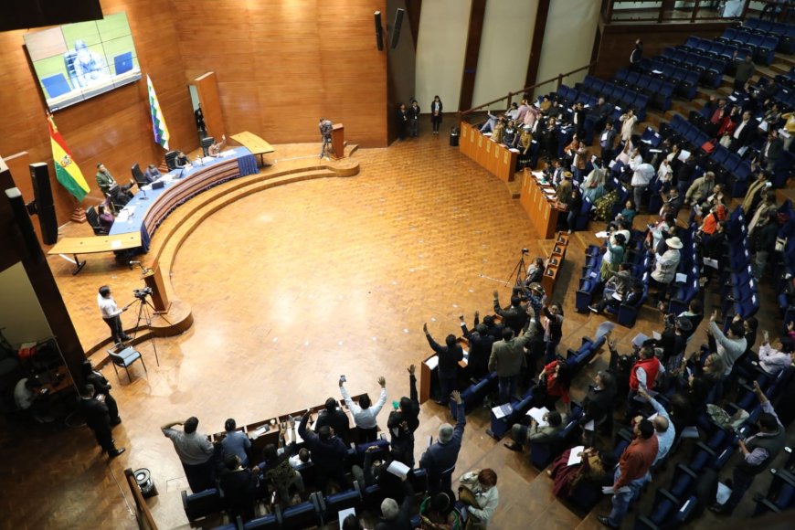 Con más de dos tercios, la Asamblea aprueba la lista de postulantes para el Tribunal Constitucional Plurinacional