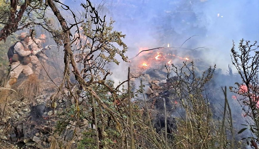 Calvimontes Revela que el 80% de Incendios Forestales Fue Sofocado Gracias a las Lluvias