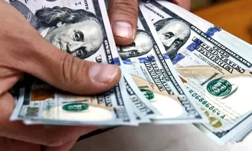 Disminución del Dólar en el Mercado Paralelo: Causas y Análisis