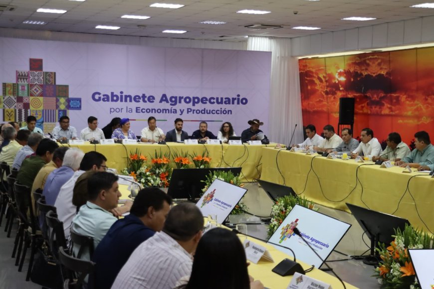 Gabinete Agropecuario se Reúne en Santa Cruz para Abordar Demandas del Sector Agropecuario