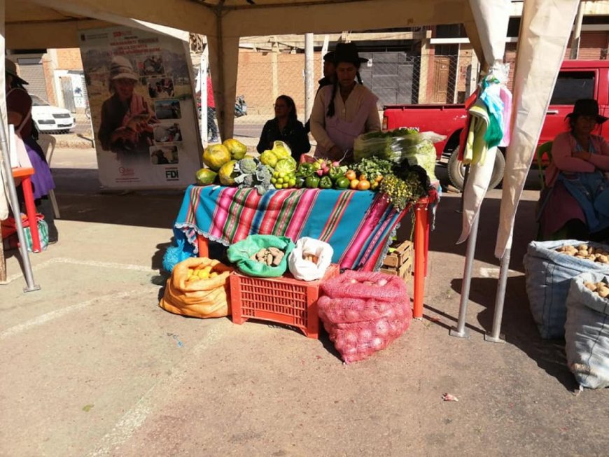 Feria “Del Campo a la Olla” Llega a Tarija con Productos Frescos y Precios Justos