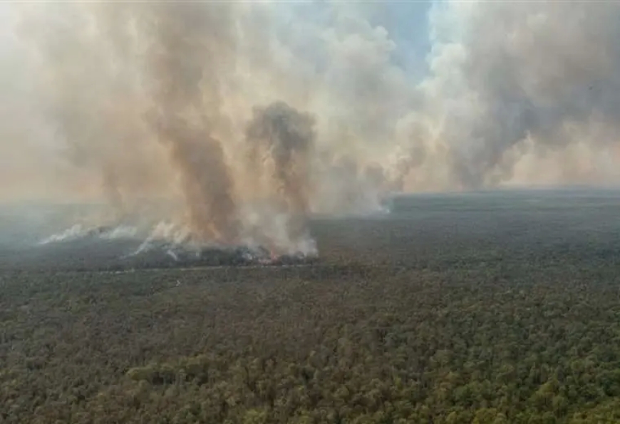 Bolivia y Brasil Coordinarán Acciones Contra Incendios en la Frontera en Reunión Binacional