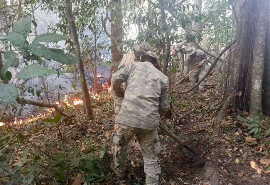 Incendios Devastan más de 119 Mil Hectáreas en el Noel Kempff y el Bajo Paraguá