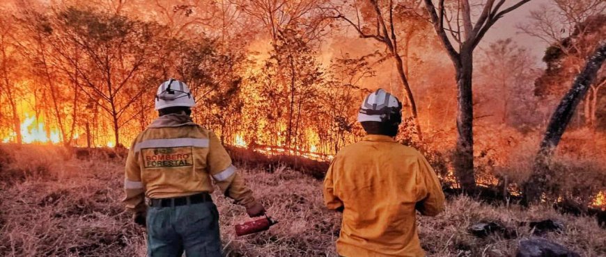 Santa Cruz Prepara Declaratoria de Desastre Departamental por Incendios Forestales