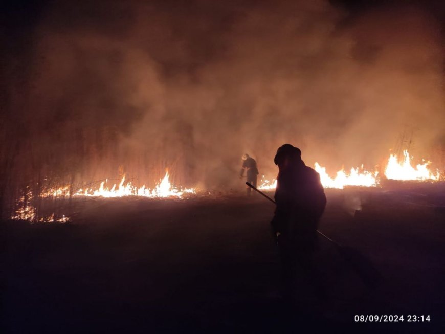 Bomberos Controlan Incendio en Limitas, Yacuiba