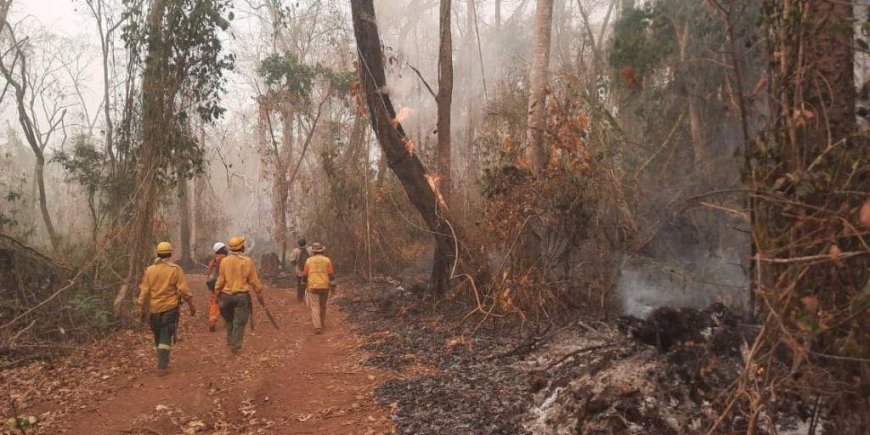 Gobierno No Legalizará Asentamientos en Zonas Afectadas por Incendios