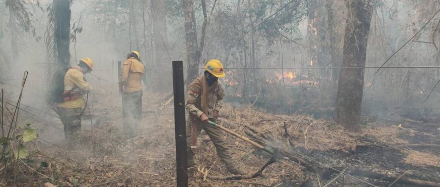 Gobernación Cruceña Reporta 11 Complejos de Incendios en Santa Cruz