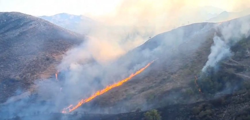 Incendio en Turumayo se Propaga Rápidamente por el Viento