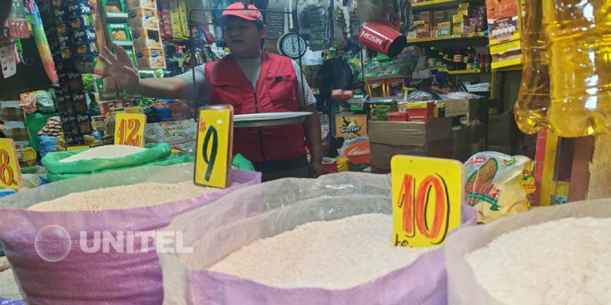 Faltarán 200.000 Toneladas de Arroz hasta Febrero y el Sector Arrocero Pide Estimular la Producción