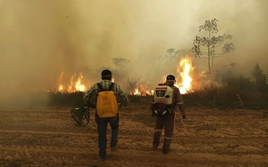 Colectivos lanzan consulta popular para frenar incendios forestales en Bolivia