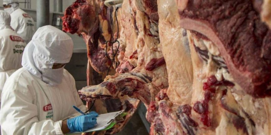 “Restringir exportaciones de carne no tiene sentido”, afirma IBCE ante acuerdo entre Gobierno y carniceros