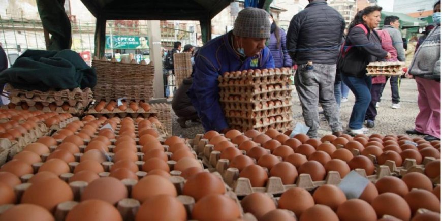 Santa Cruz produce el 60% de los 2.700 millones de huevos anuales en Bolivia