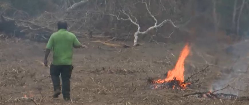 Hombre es sorprendido desmontando y provocando incendios en el Bosque Chiquitano pese a la pausa ambiental