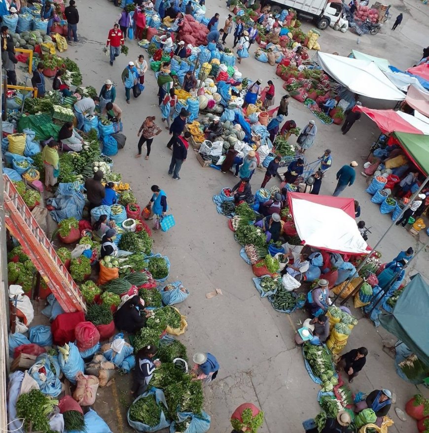 Precios de la Canasta Básica Alimentaria en el Mercado Campesino al Inicio de la Semana