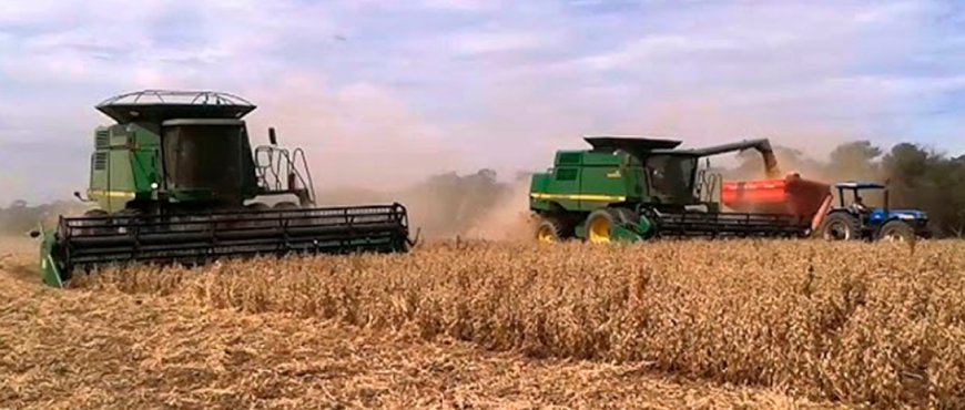 Productores de soya alertan sobre el riesgo de la cosecha debido a la falta de diésel