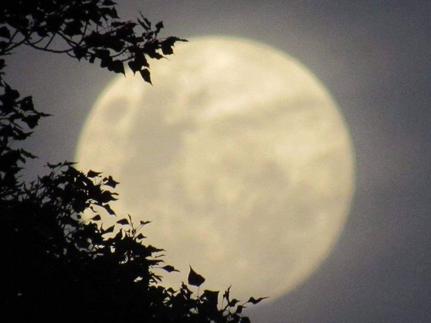 ¡Última superluna del año iluminará el cielo este viernes!