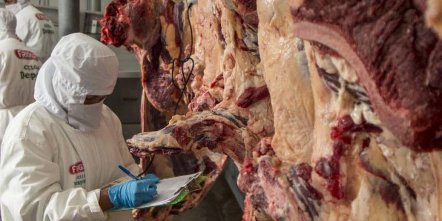 Gobierno autoriza exportación de 35.000 toneladas de carne bovina este año