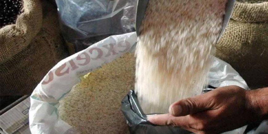 Productores de arroz migran a otros cultivos ante incertidumbre por falta de diésel, según Fenca