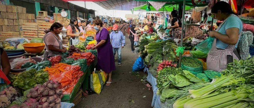 PGE 2025: Diputado denuncia facultades para decomisar alimentos en caso de precios elevados