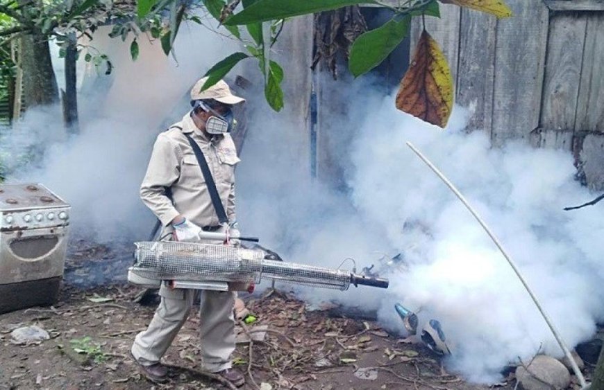 Tarija: Alerta por Dengue tras Intensivas Lluvias y Calor