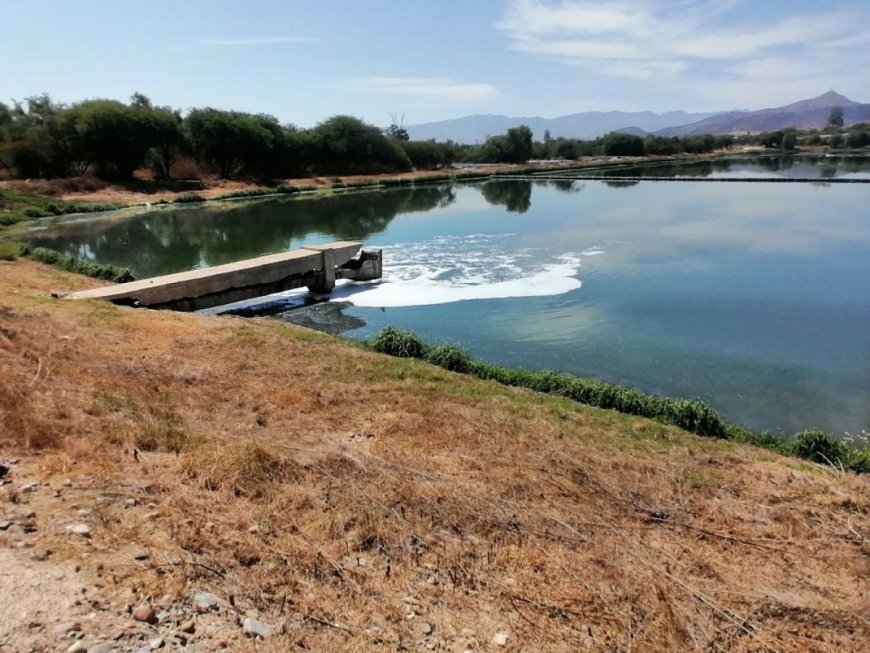 Cosaalt lanza licitación para limpiar las lagunas de oxidación en San Luis