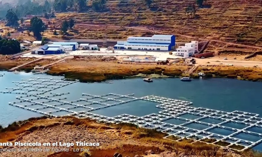 EMAPA lanza convocatorias para construcción y equipamiento de industrias en La Paz, Tarija y Chuquisaca