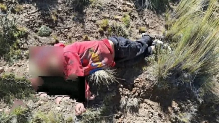Encuentran sin vida a dos hermanitos desaparecidos mientras pastoreaban ovejas en Oruro