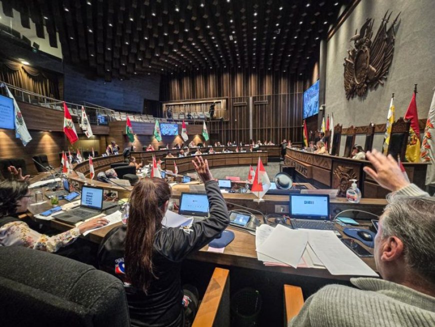 El Senado paralizado: duermen dos proyectos que buscan proteger el proceso electoral de fallos judiciales