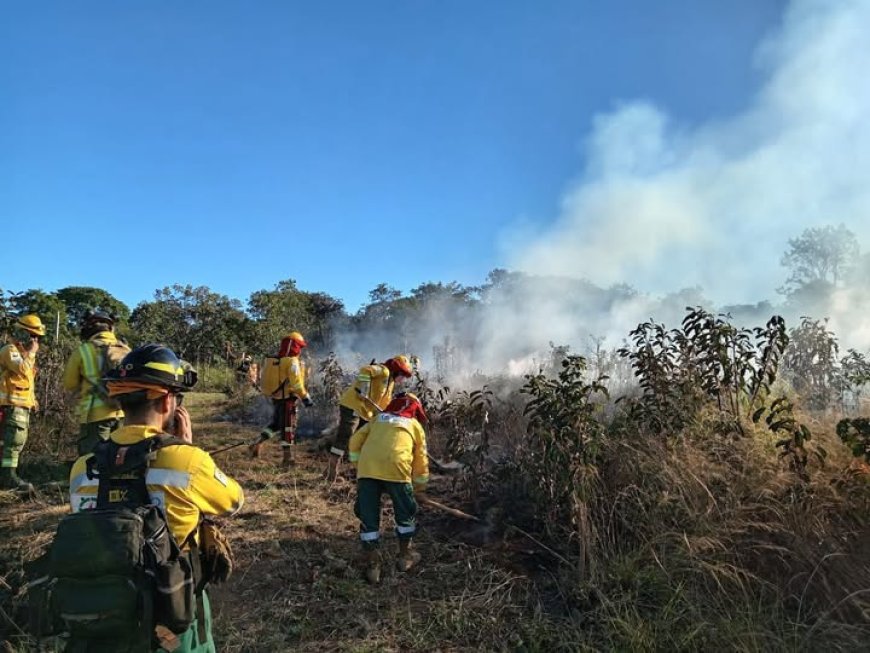 Especialistas internacionales realizan pruebas de manejo de incendios forestales en Santa Cruz